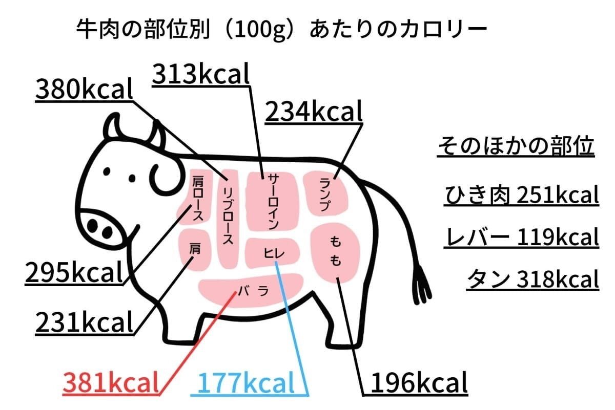 牛肉の部位別カロリーと糖質を徹底解説！ダイエットにも最適な部位は？