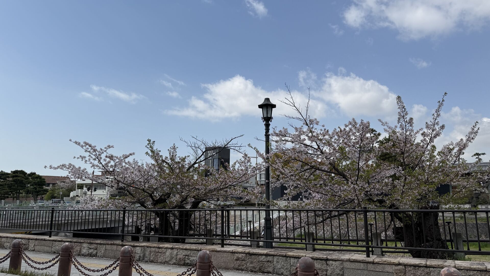 令和7年4月14日（月曜日）今月からステーキランチは国産牛フィレステーキです。
