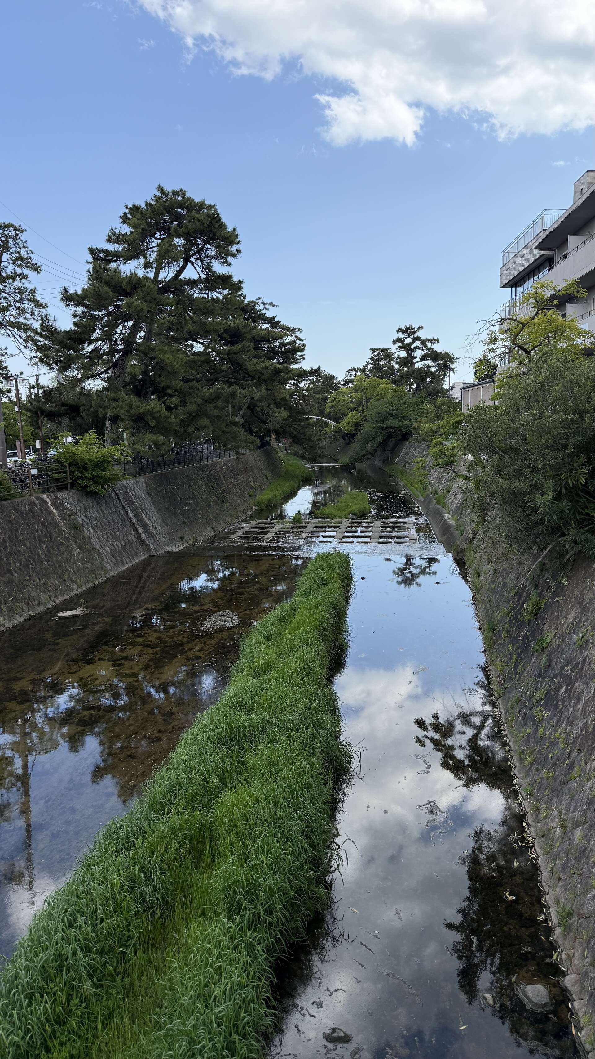 【2025年5月6日】ゴールデンウィーク最終日、雨の大阪で過ごすひととき