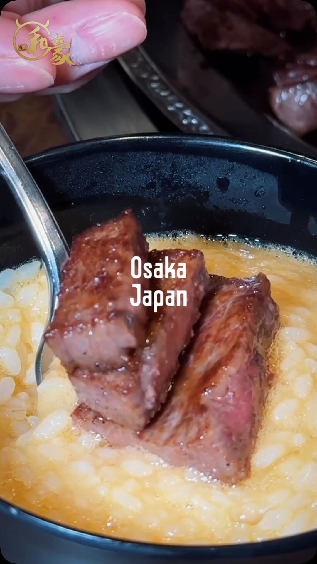 Experience Japanese teppanyaki