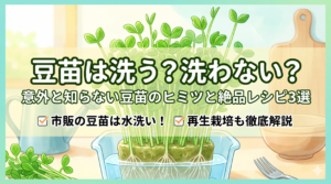 明るいキッチンで再生栽培されている豆苗のイラスト。中央に「豆苗は洗う？洗わない？意外と知らない豆苗のヒミツと絶品レシピ3選」というタイトル文字があり、下部には「市販の豆苗は水洗い！」「再生栽培も徹底解説」というポイントが記載されています。背景には水差しやボウルが置かれ、清潔感のある柔らかな雰囲気の画像です。